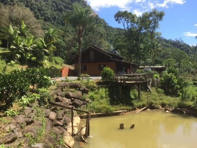Sítio - Venda - Rio dos Cedros - SC - Ribeirao Cunha - 1