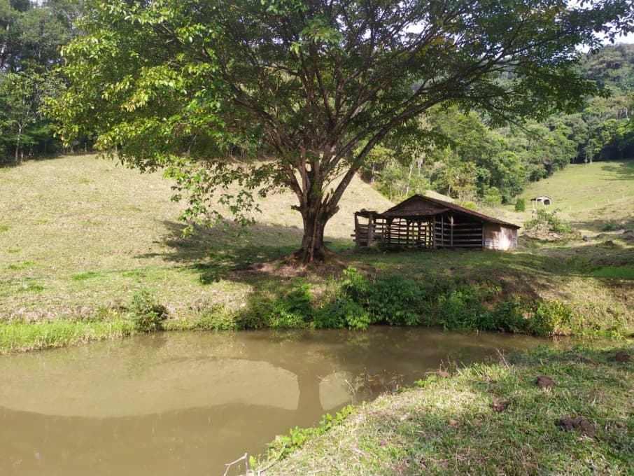 Sítio - Venda - Guabiruba - SC - Aimoré - 1